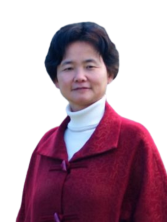 Prof. Jingbo Wang